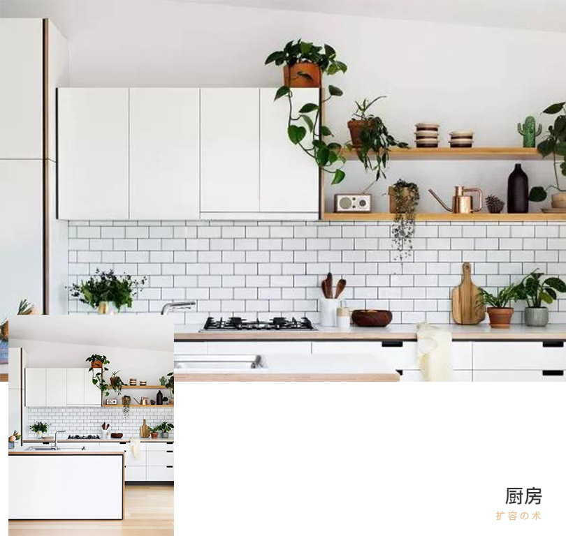 1596678301132666.jpg 微信圖片_20200806093306.jpg