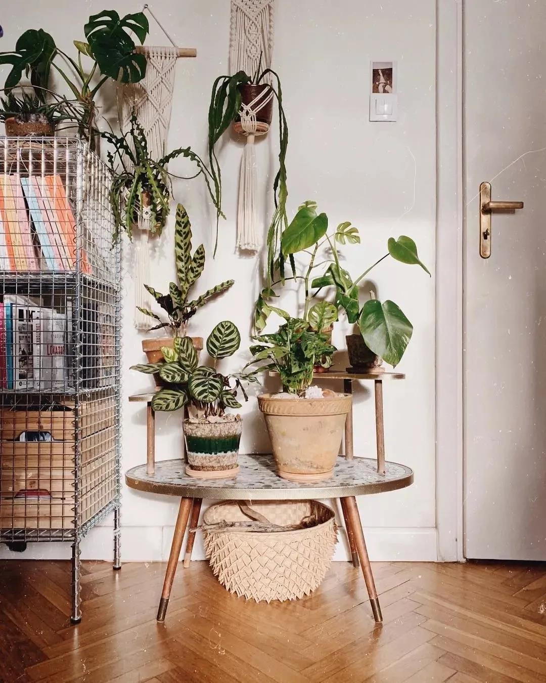 1600048204172987.jpg 微信圖片_20200914094048.jpg